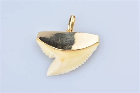 Pendentifs dent de requin .